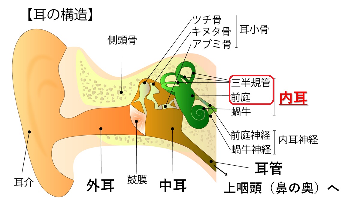 耳の症状 病気とめまい おんだ耳鼻咽喉科クリニック 葛飾区白鳥