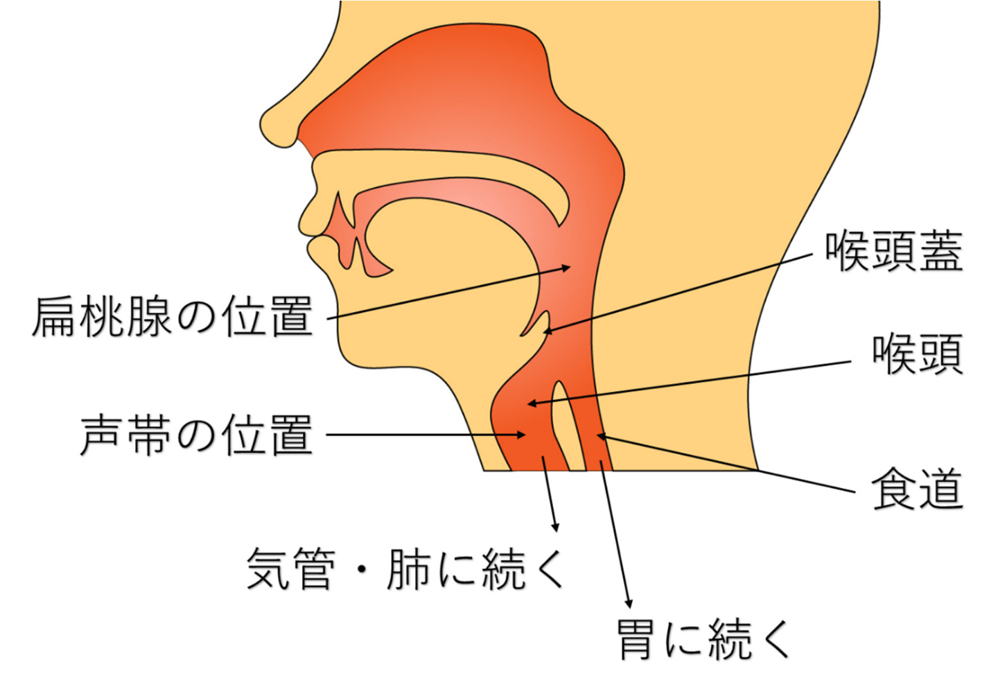 喉 に 何 か 張り 付い てる 感じ 風邪