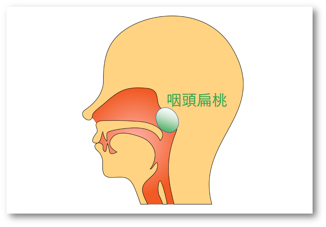 鼻の症状 病気 おんだ耳鼻咽喉科クリニック 葛飾区白鳥